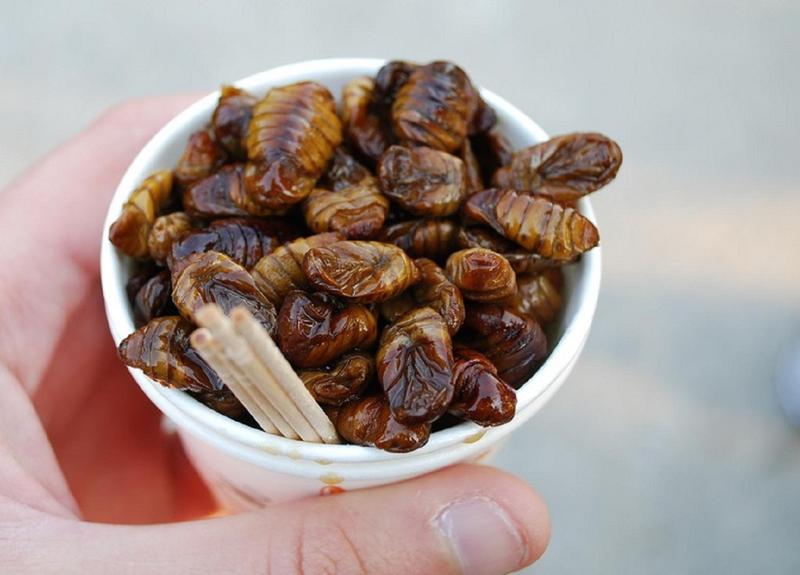 Daftar Kuliner Ekstrem Di Asia, Ada Indonesia Juga